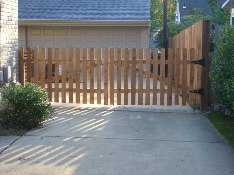 photo41.jpg